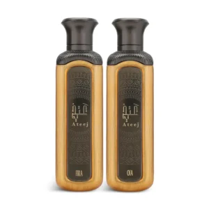 مجموعة ذا توينز