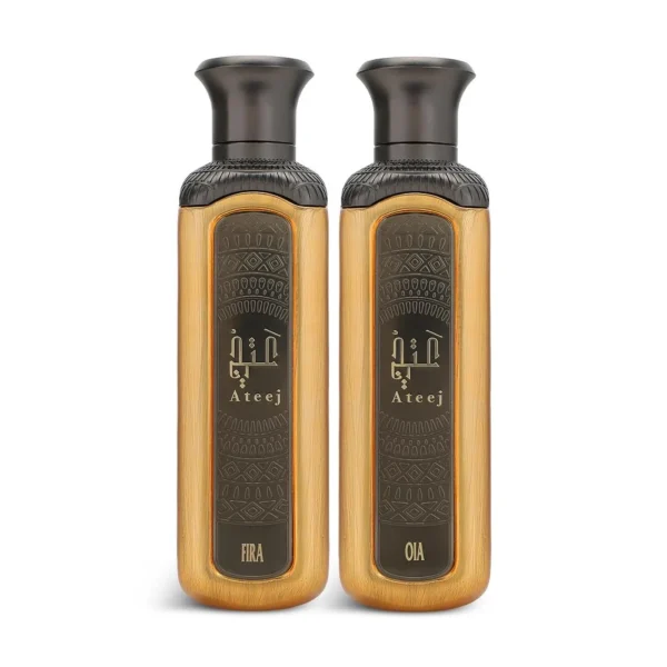 مجموعة ذا توينز مجموعة ذا توينز